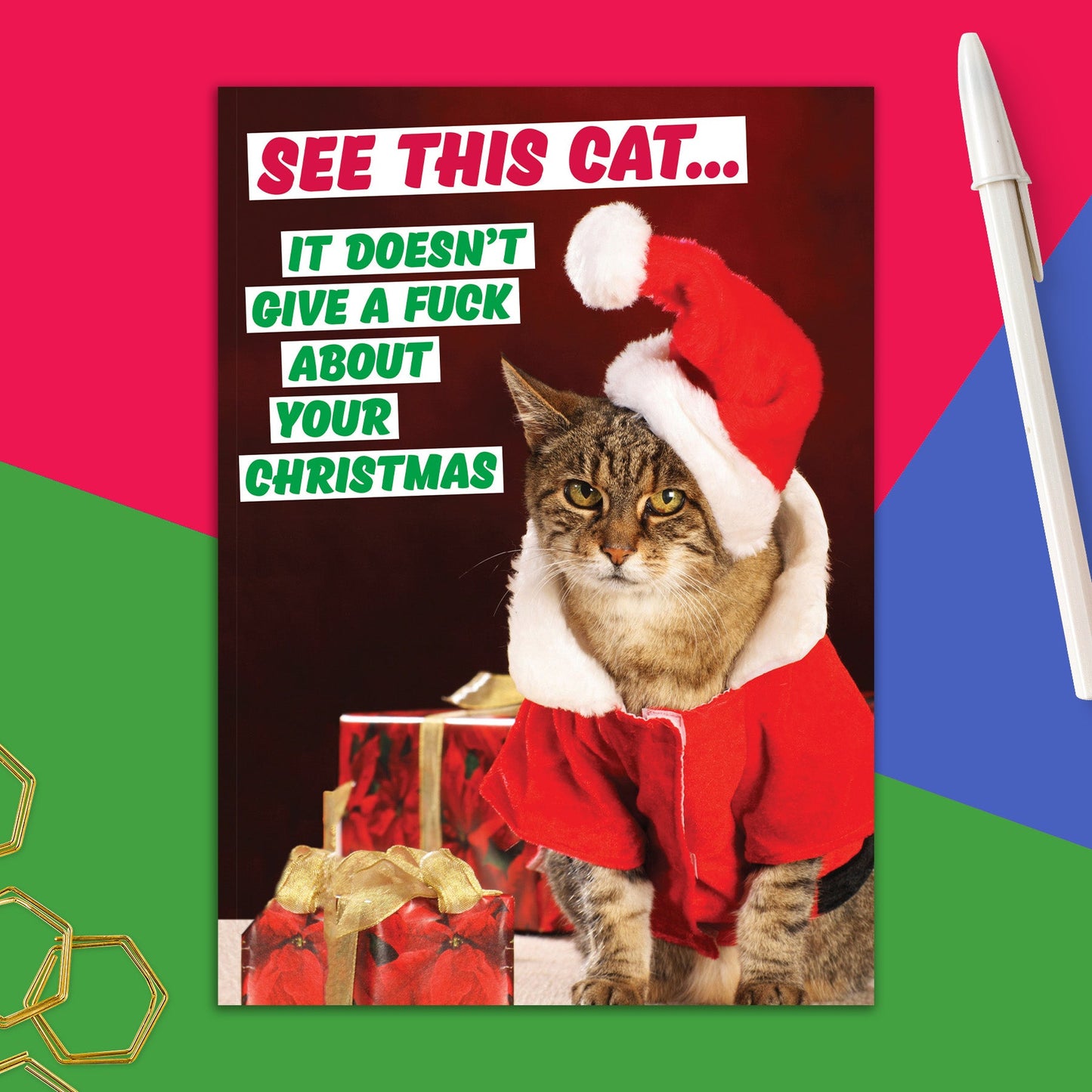 86723-DMX 213 | XM/See This Cat