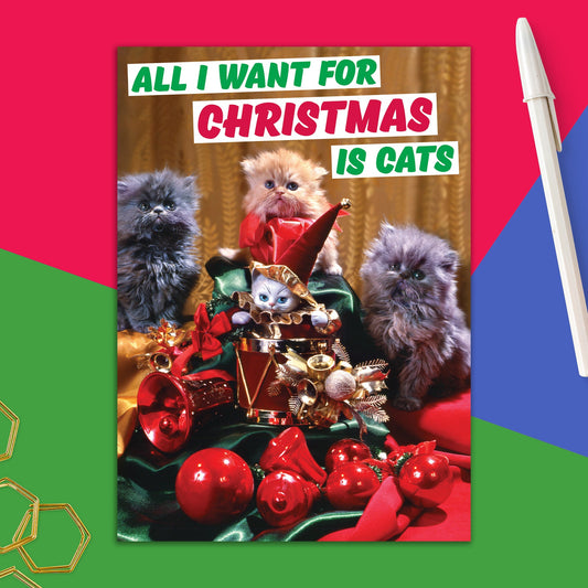 86723-DMX 237 | XM/All I want for Christmas