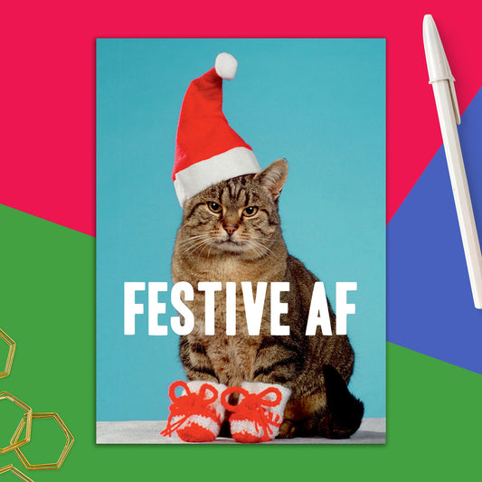 86723-DMX 263 | XM/Festive AF