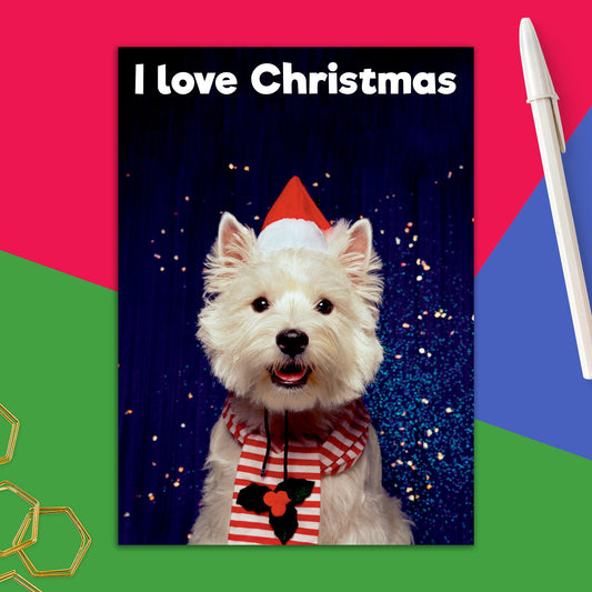 86723-DMX 288 | XM/Sniffing your bottom