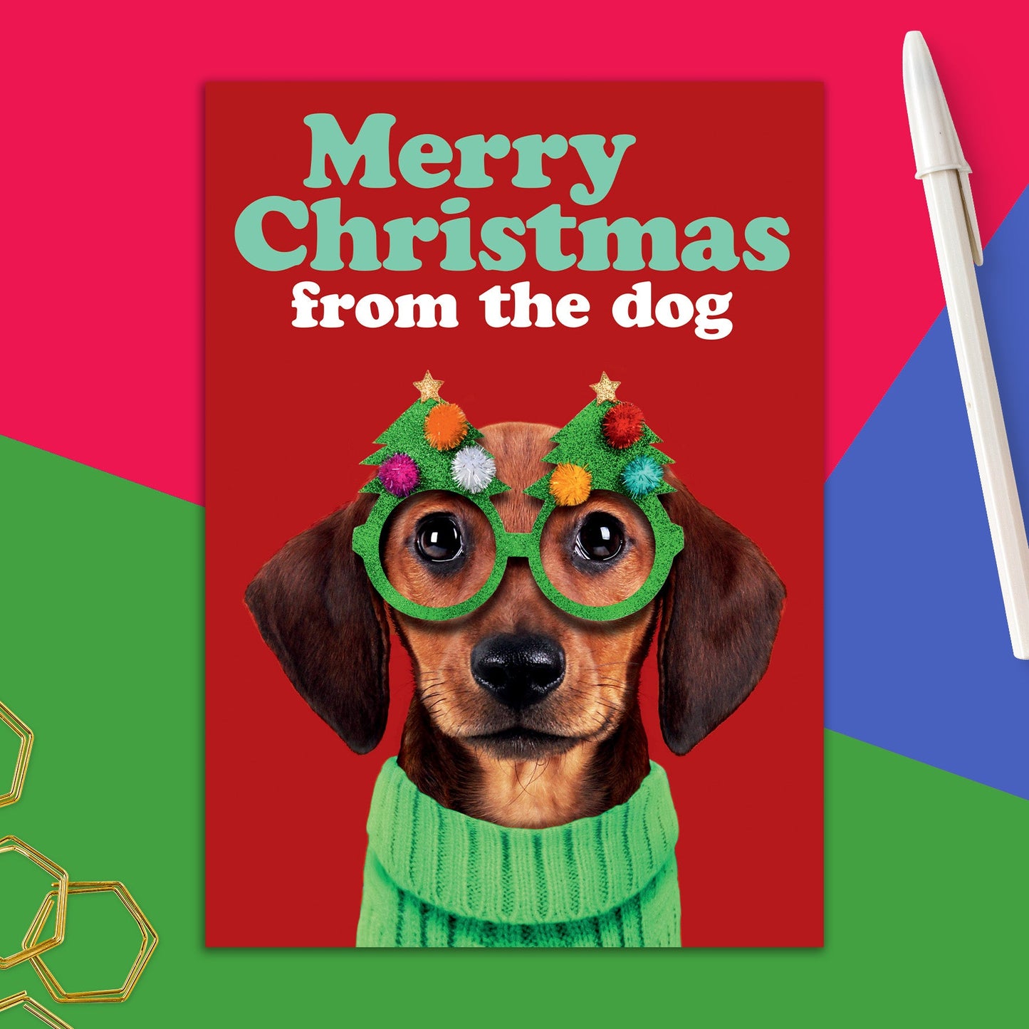 86723-DMX 308 | XM/From the dog