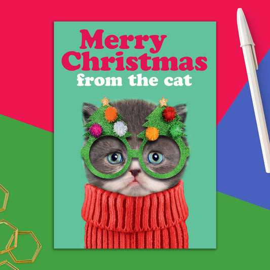 86723-DMX 309 | XM/From the cat