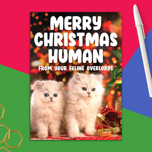 86723-DMX 349 | XM/Merry Christmas Human