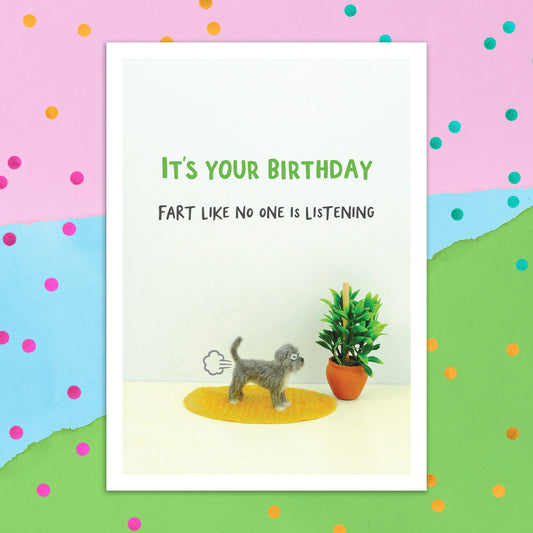 3895-FB003 | BD/ Fart like no one