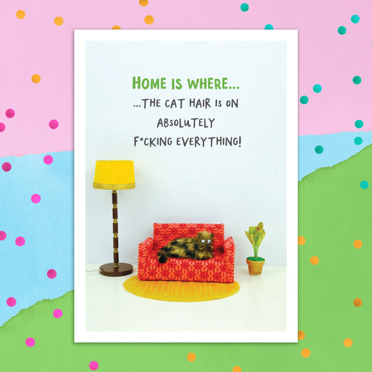 3895-FB005 | NH/Home is where cat hair