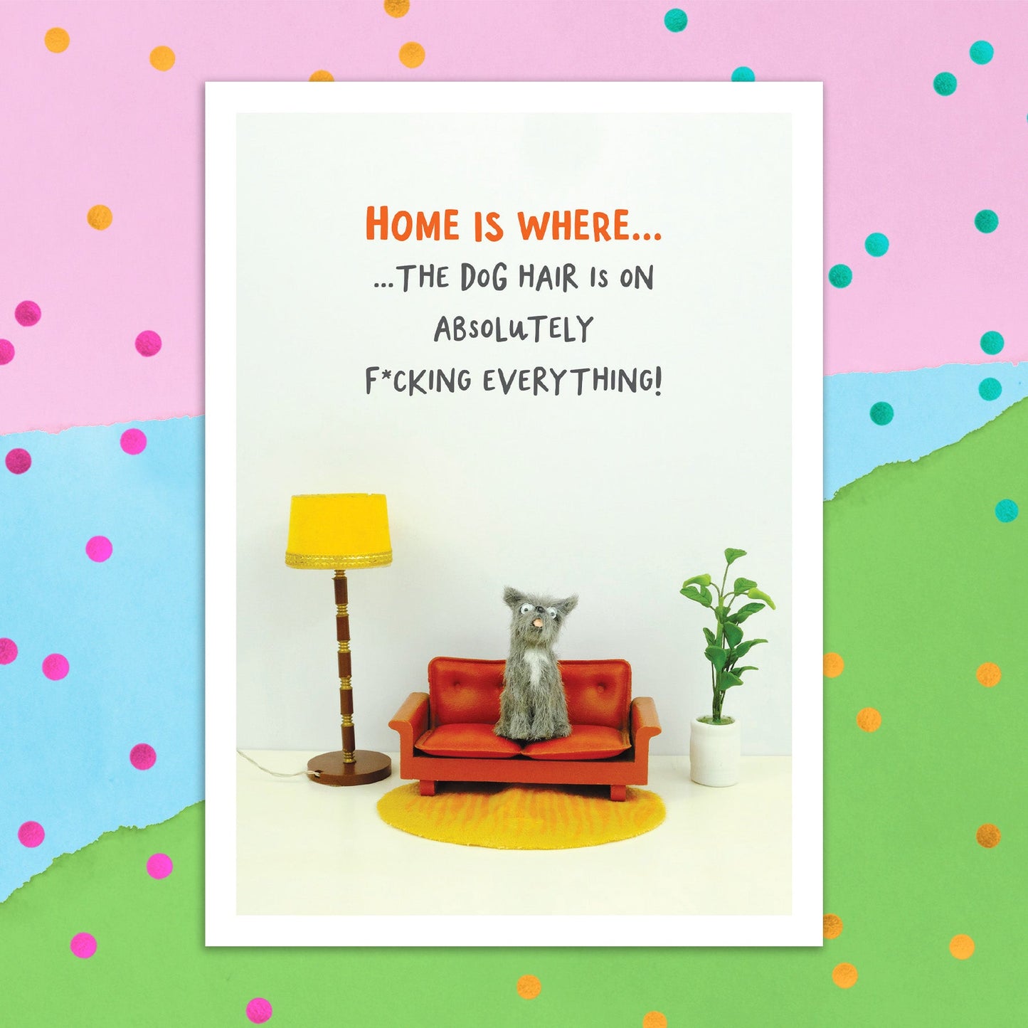 3895-FB006 | NH/Home is where dog hair