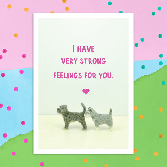 3895-FB013 | AN/Very strong feelings