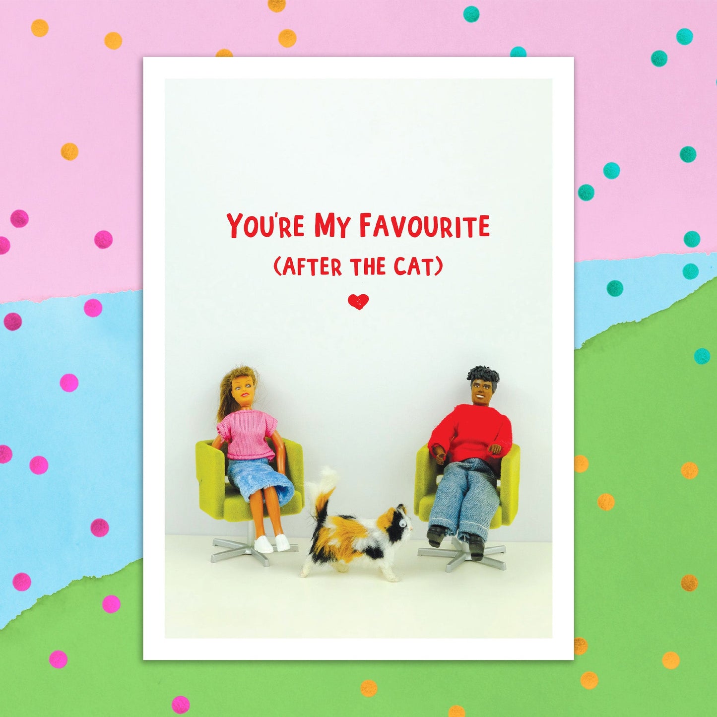 3895-FB017 | AN/Favourite after the cat