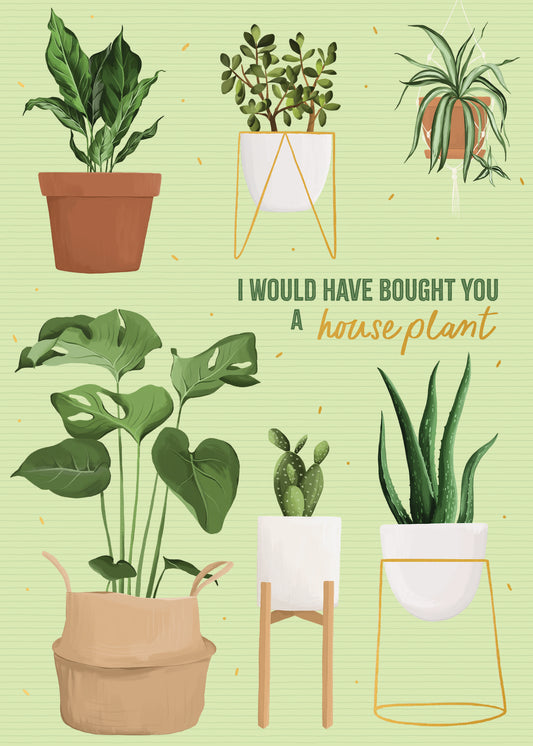 564-FOIOPE1359M | ED/Bought a Houseplant