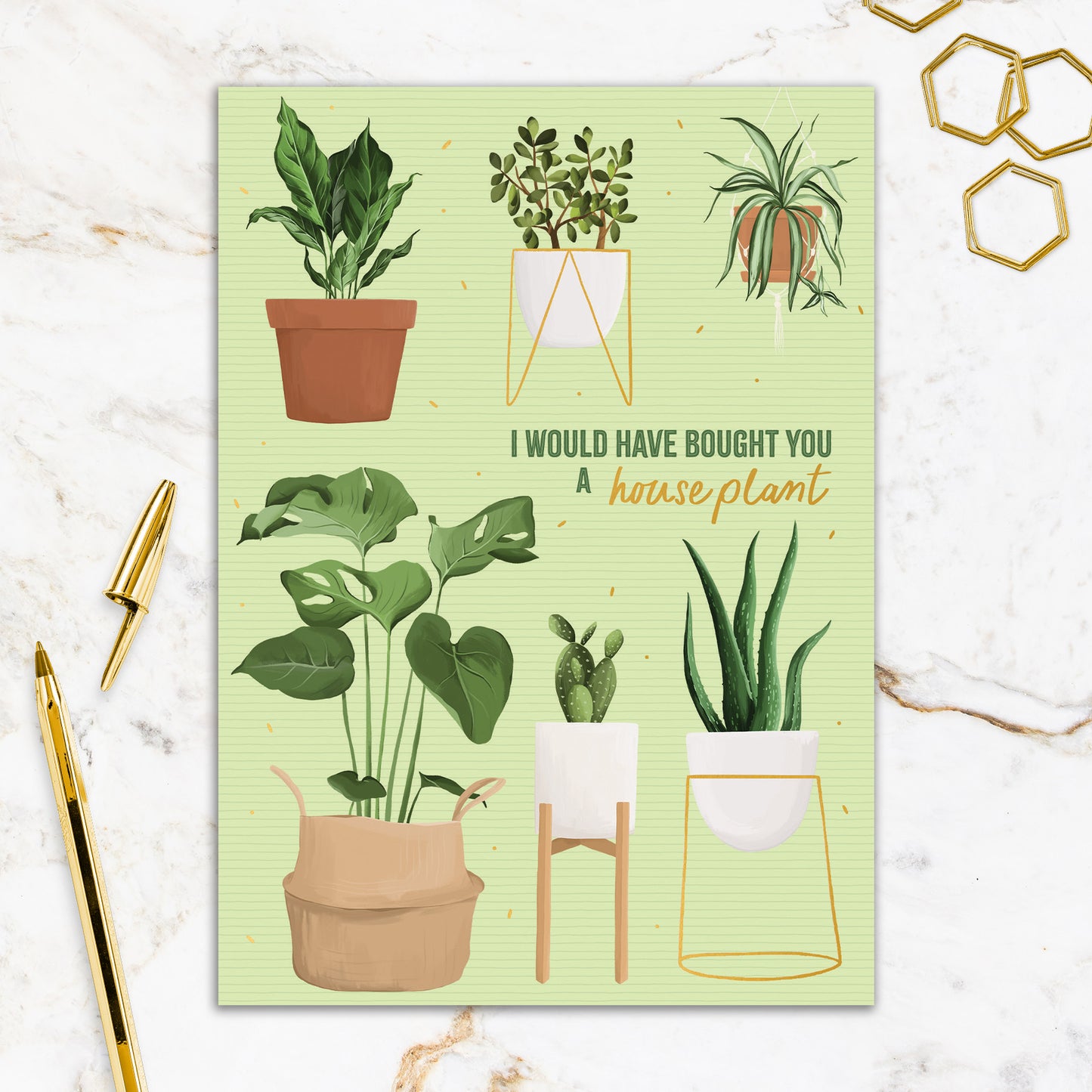 564-FOIOPE1359M | ED/Bought a Houseplant