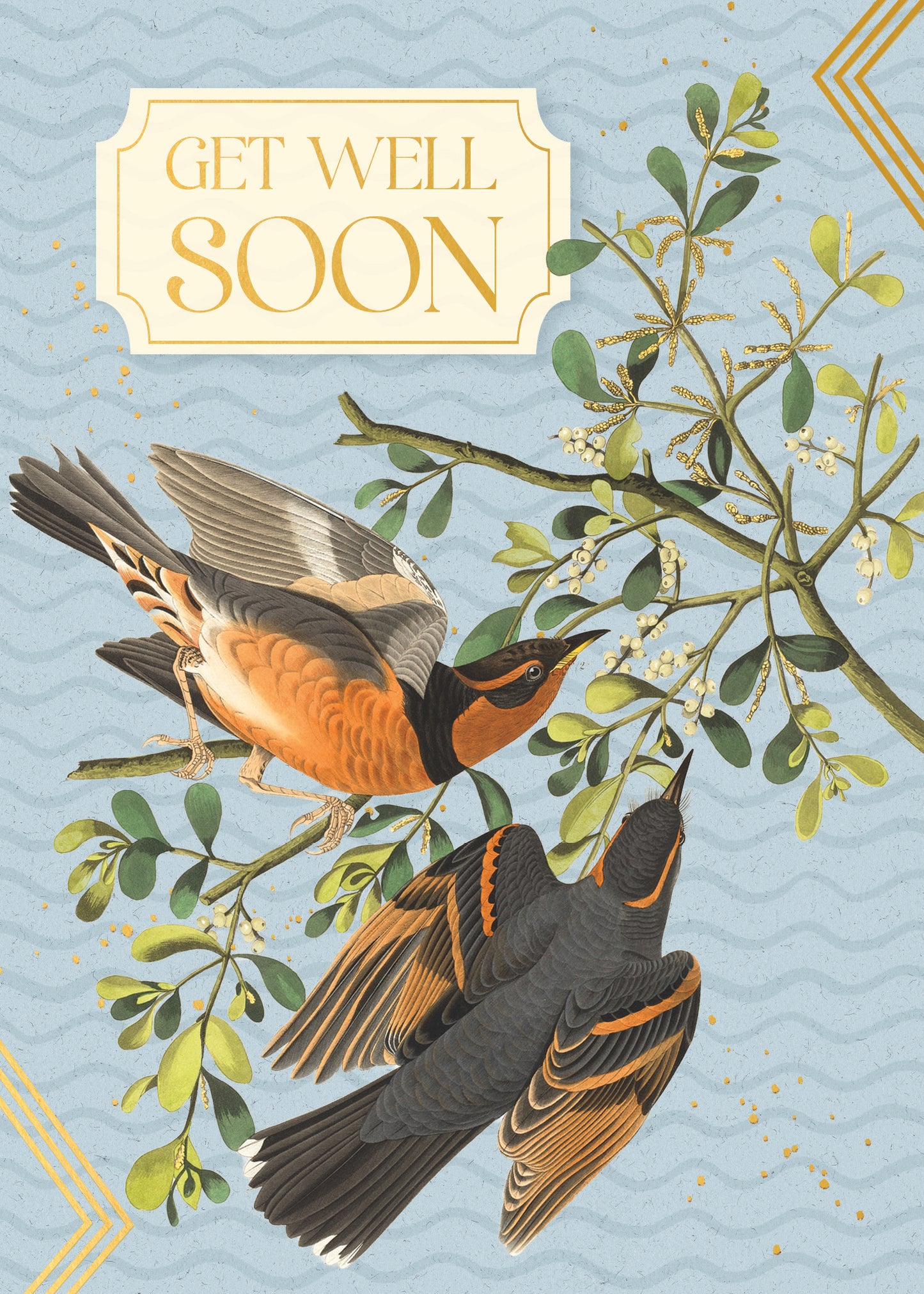 564-FOIOPE1371M | GW/Get Well Soon Birds