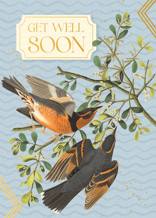 564-FOIOPE1371M | GW/Get Well Soon Birds