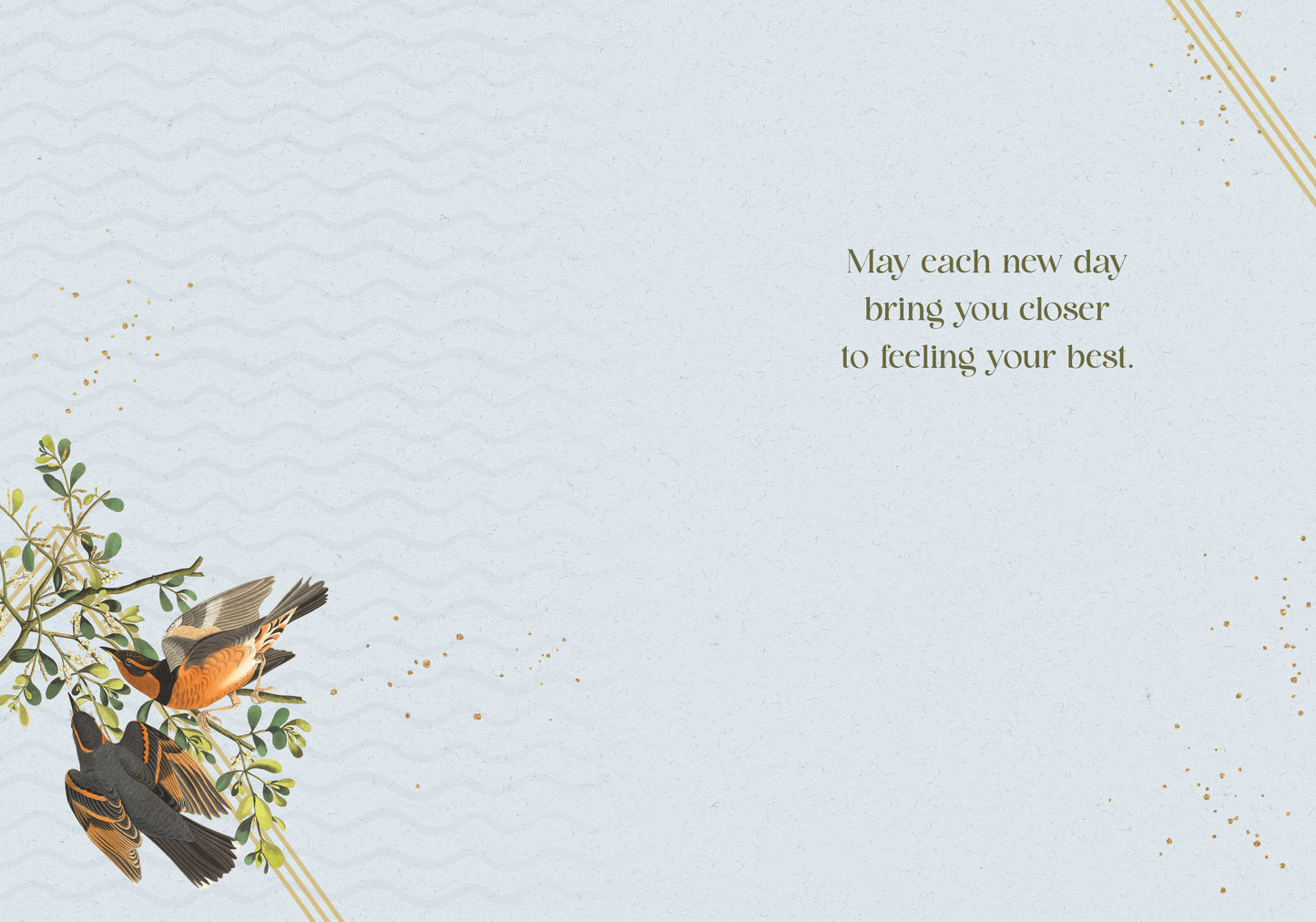 564-FOIOPE1371M | GW/Get Well Soon Birds