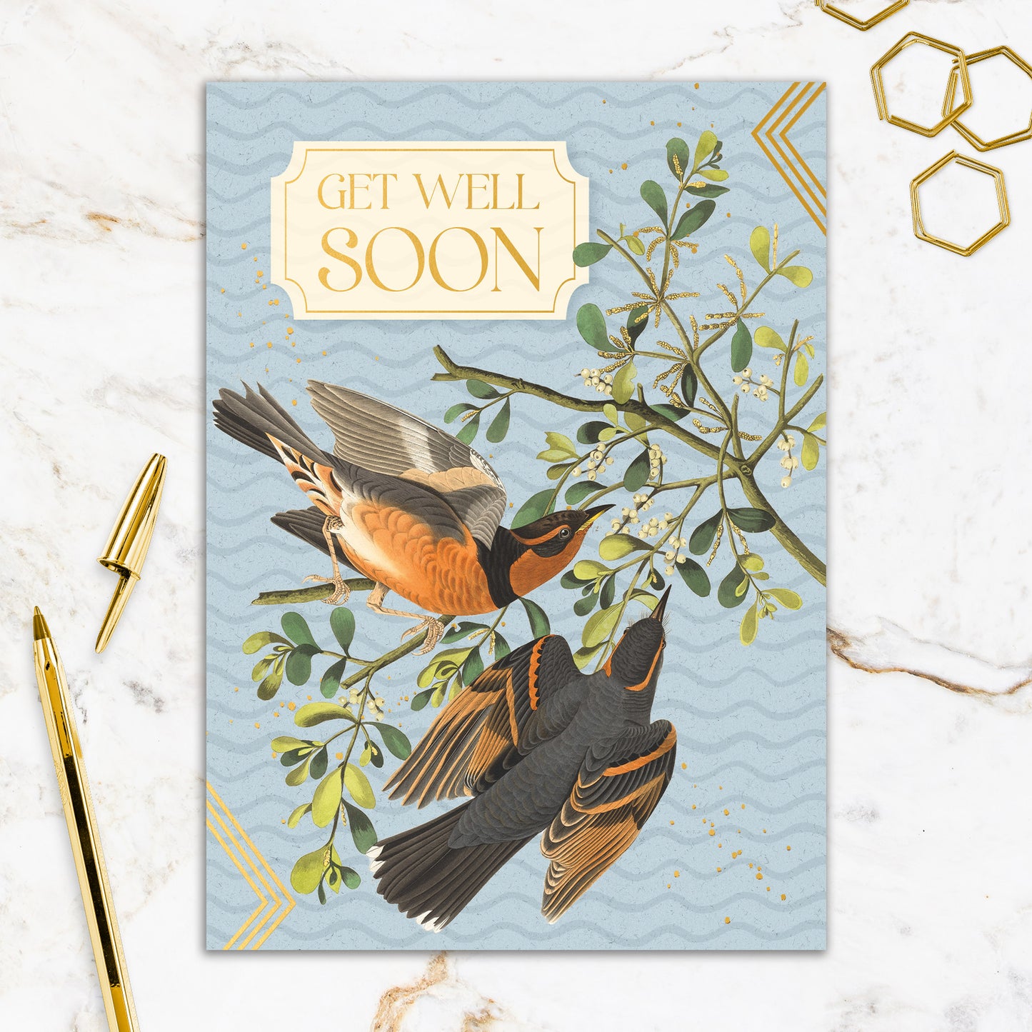 564-FOIOPE1371M | GW/Get Well Soon Birds