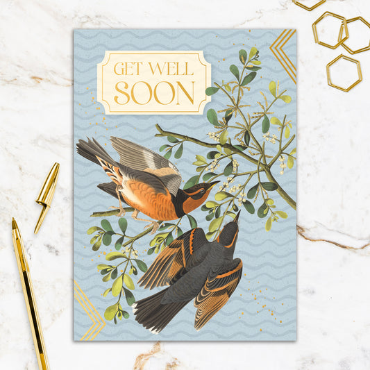 564-FOIOPE1371M | GW/Get Well Soon Birds