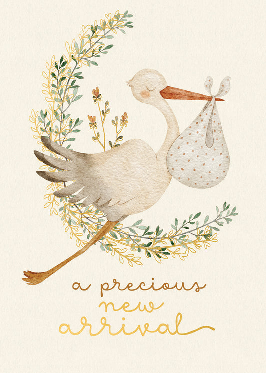 564-FOIOPE1374M | NB/Precious New Arrival