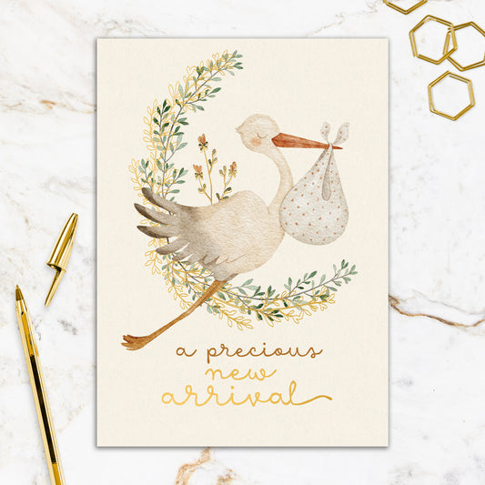 564-FOIOPE1374M | NB/Precious New Arrival