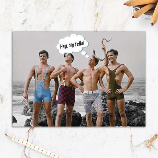 564-IOPE0011C | BD/Big Fella