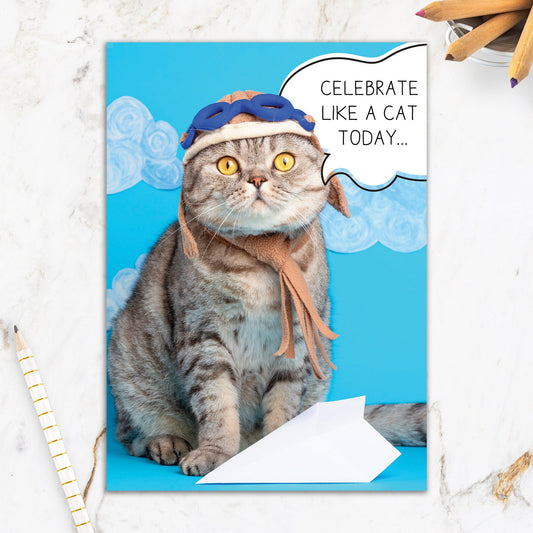 564-IOPE0012C | BD/Celebrate Like A Cat