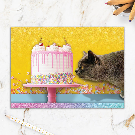 564-IOPE0014C | BD/Hungry Cat