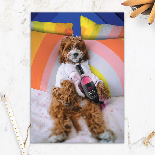 564-IOPE0018C | BD/Relaxing Pup