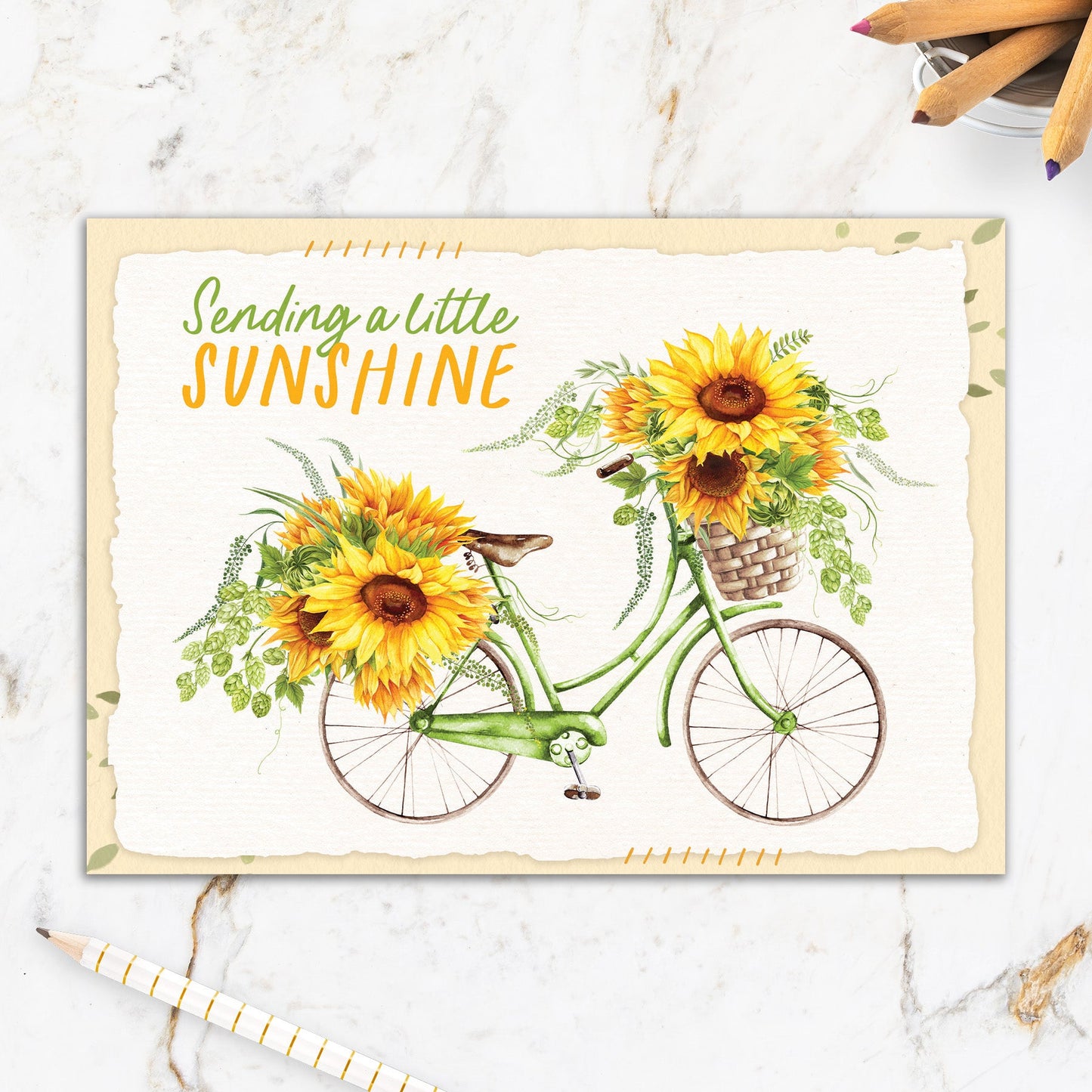 564-IOPE0057L | TH/Sending Sunshine