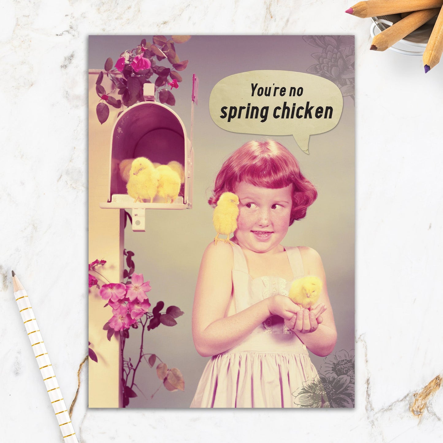 564-IOPE0091C | BD/Spring Chicken