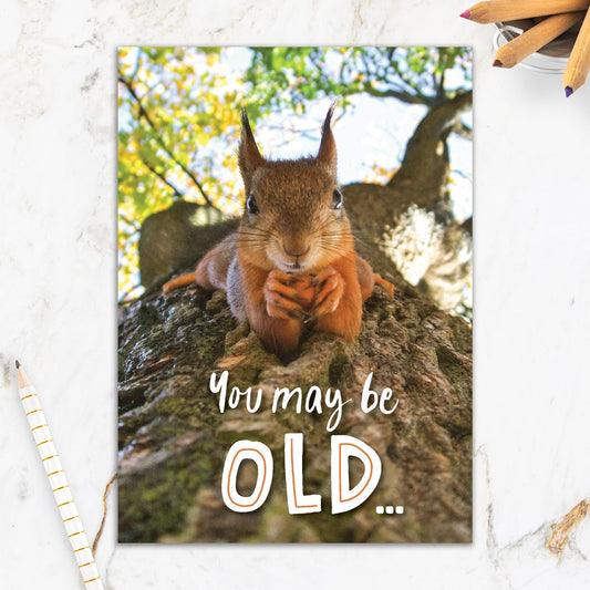 564-IOPE0108C | BD/Your Nuts