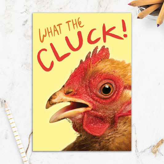 564-IOPE0109C | BD/What The Cluck
