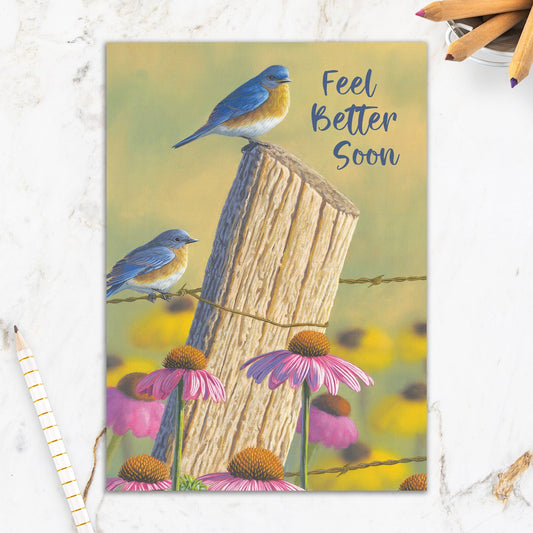 564-IOPE0111S | GW/Get Well Blue Bird