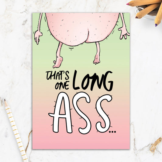 564-IOPE0122C | BD/Long Ass