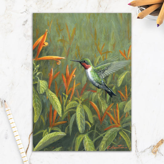 564-IOPE0140L | BD/Hummingbird