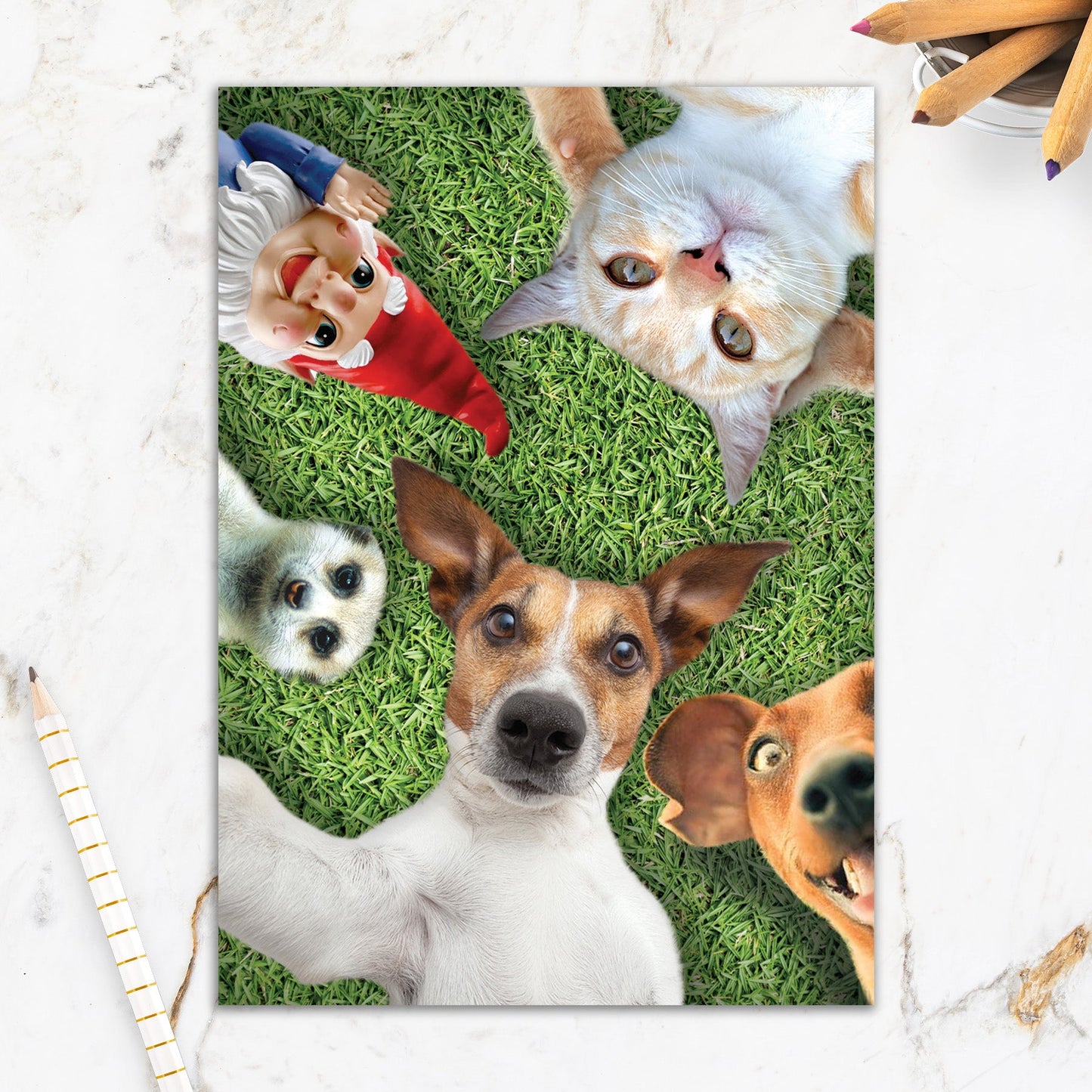 564-IOPE0144C | BD/Dog and Cat Selfie