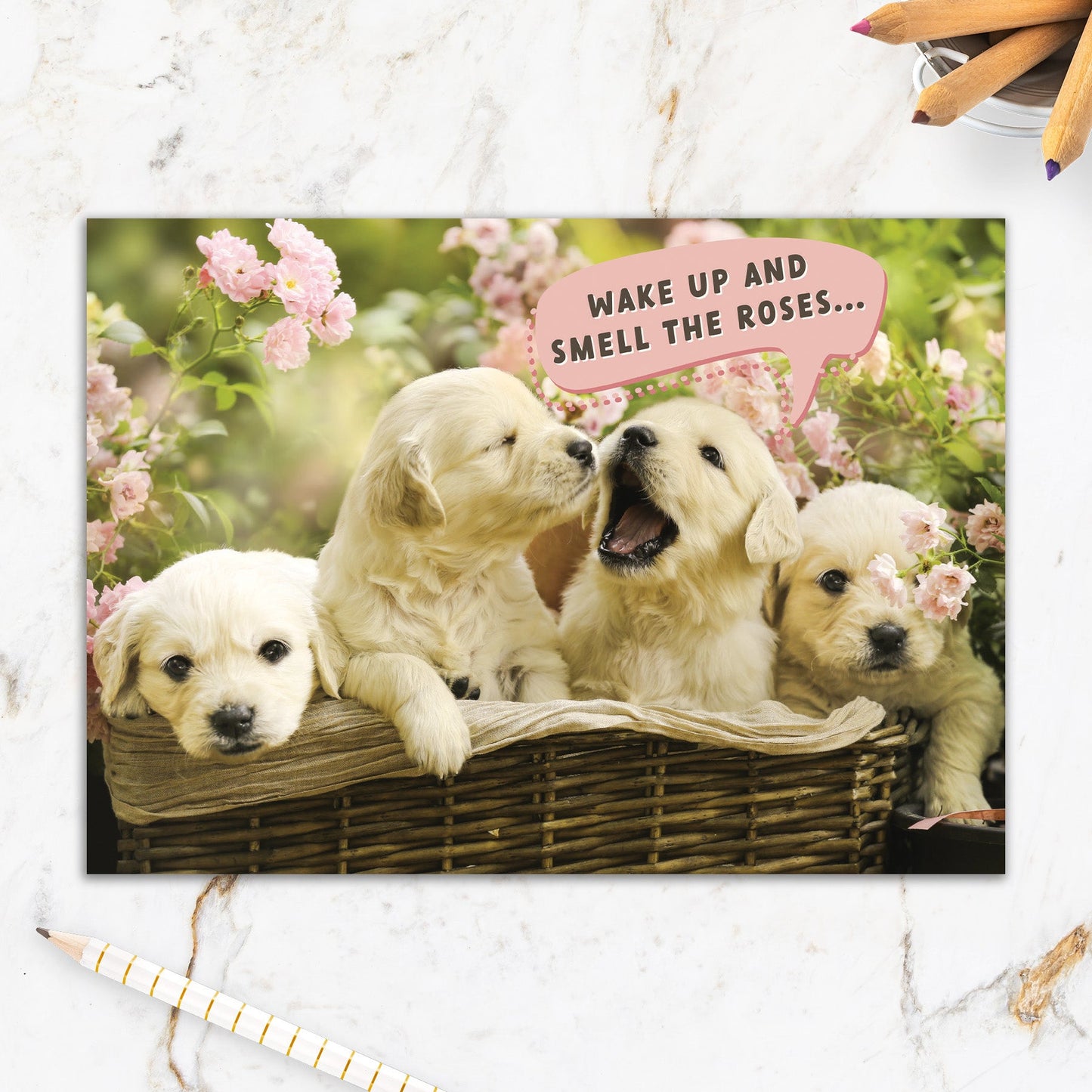 564-IOPE0145C | BD/Puppies In Basket