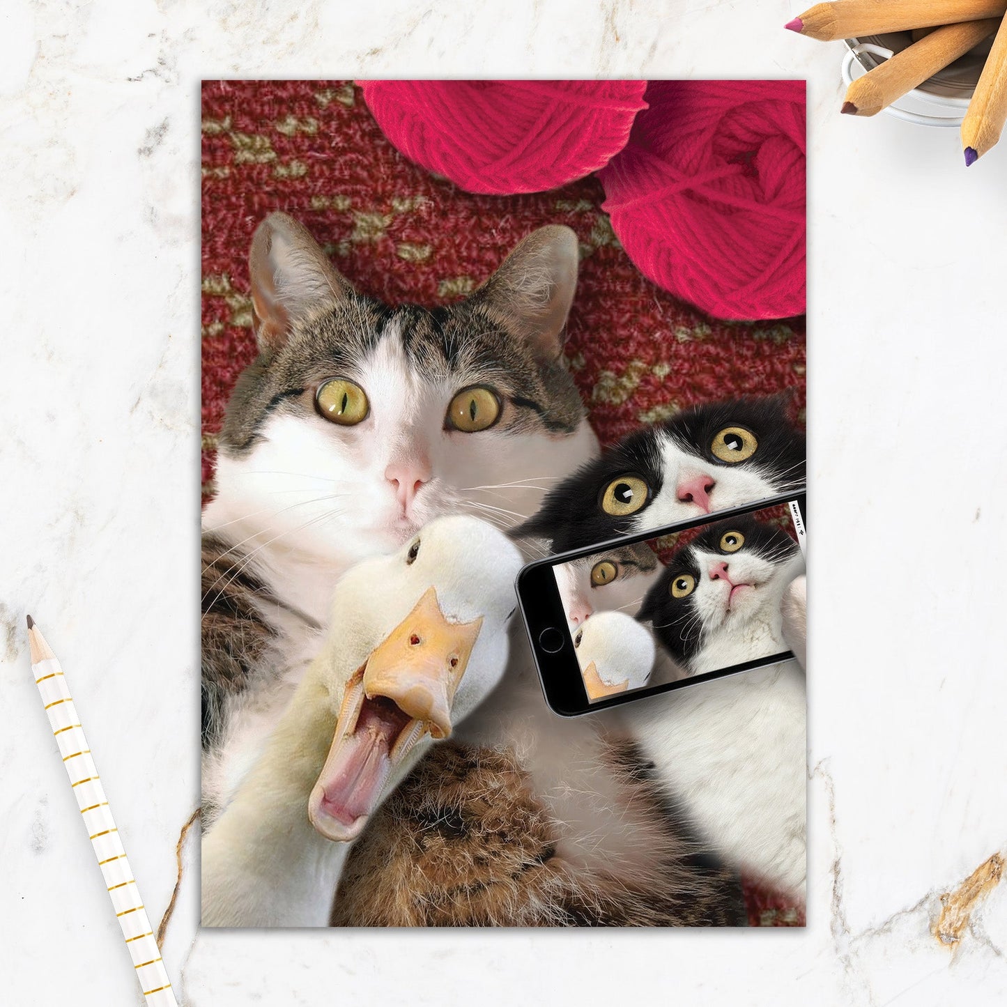 564-IOPE0156C | BD/Cat & Duck Selfie