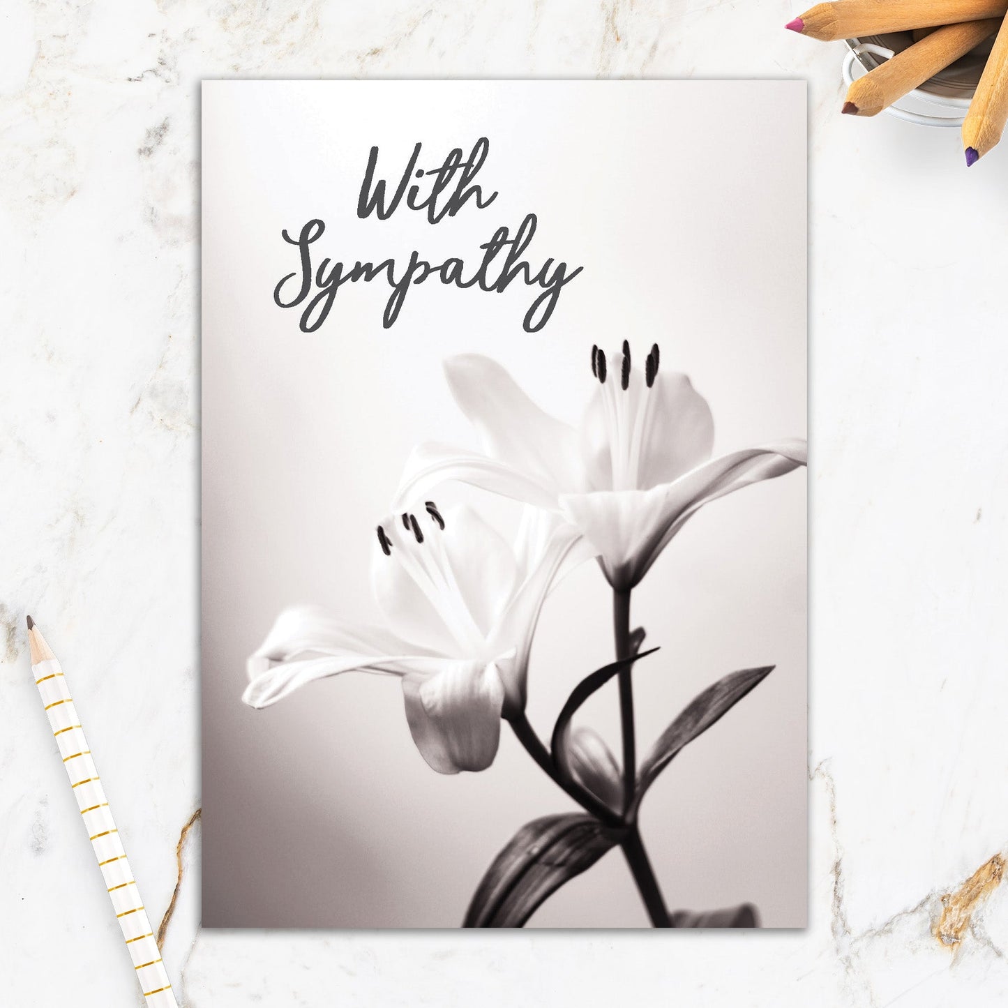 564-IOPE0157L | SY/Sympathy Lily