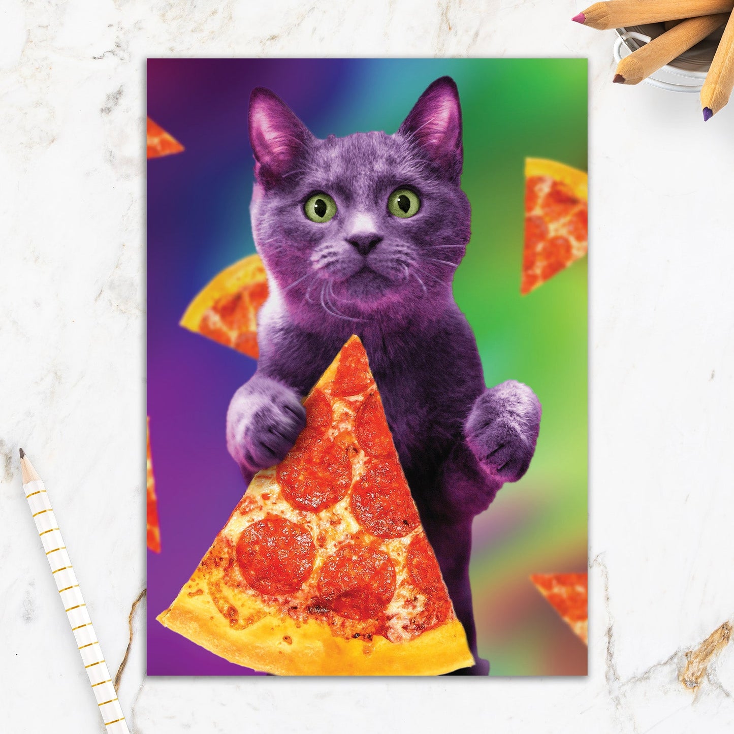 564-IOPE0159C | BD/Pizza Cat