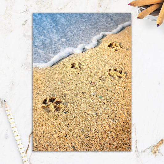 564-IOPE0160C | PSY/Footprints In Sand