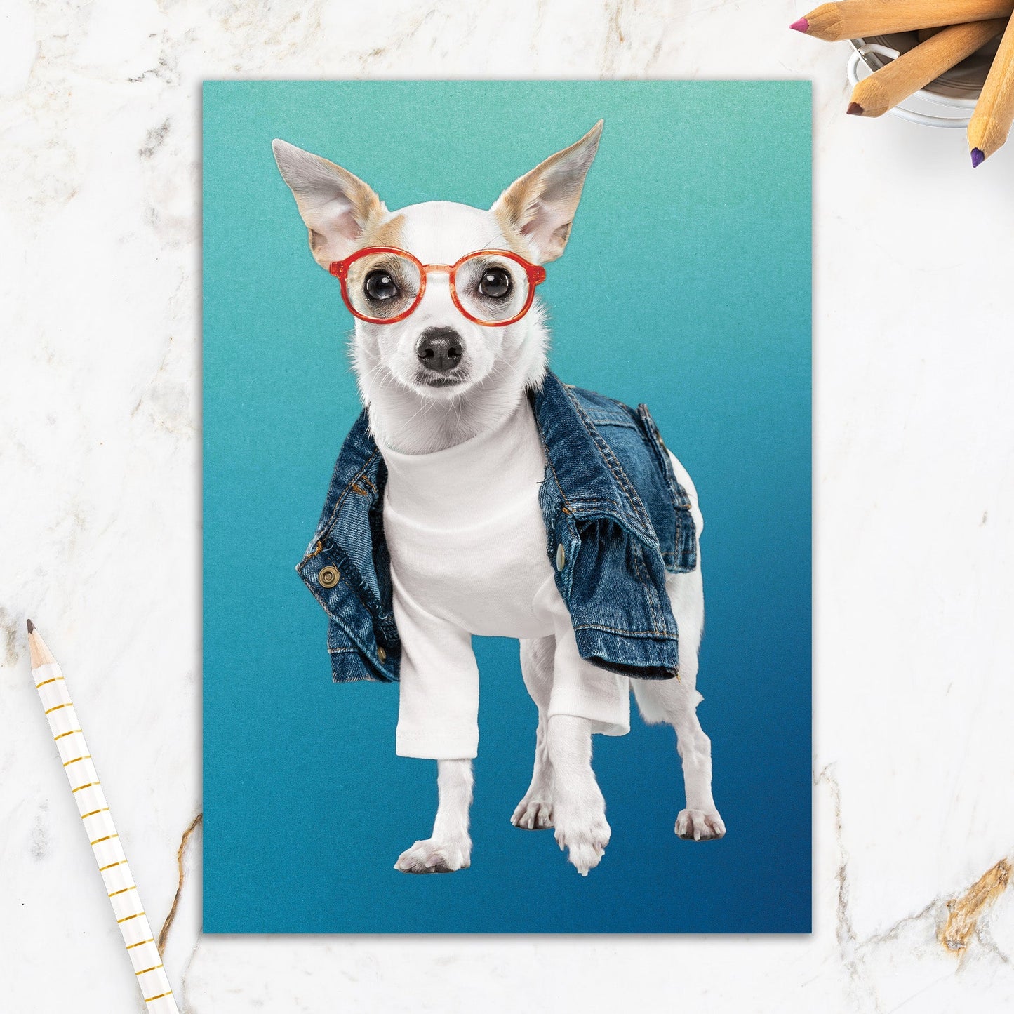 564-IOPE0168C | BD/Hipster Dog