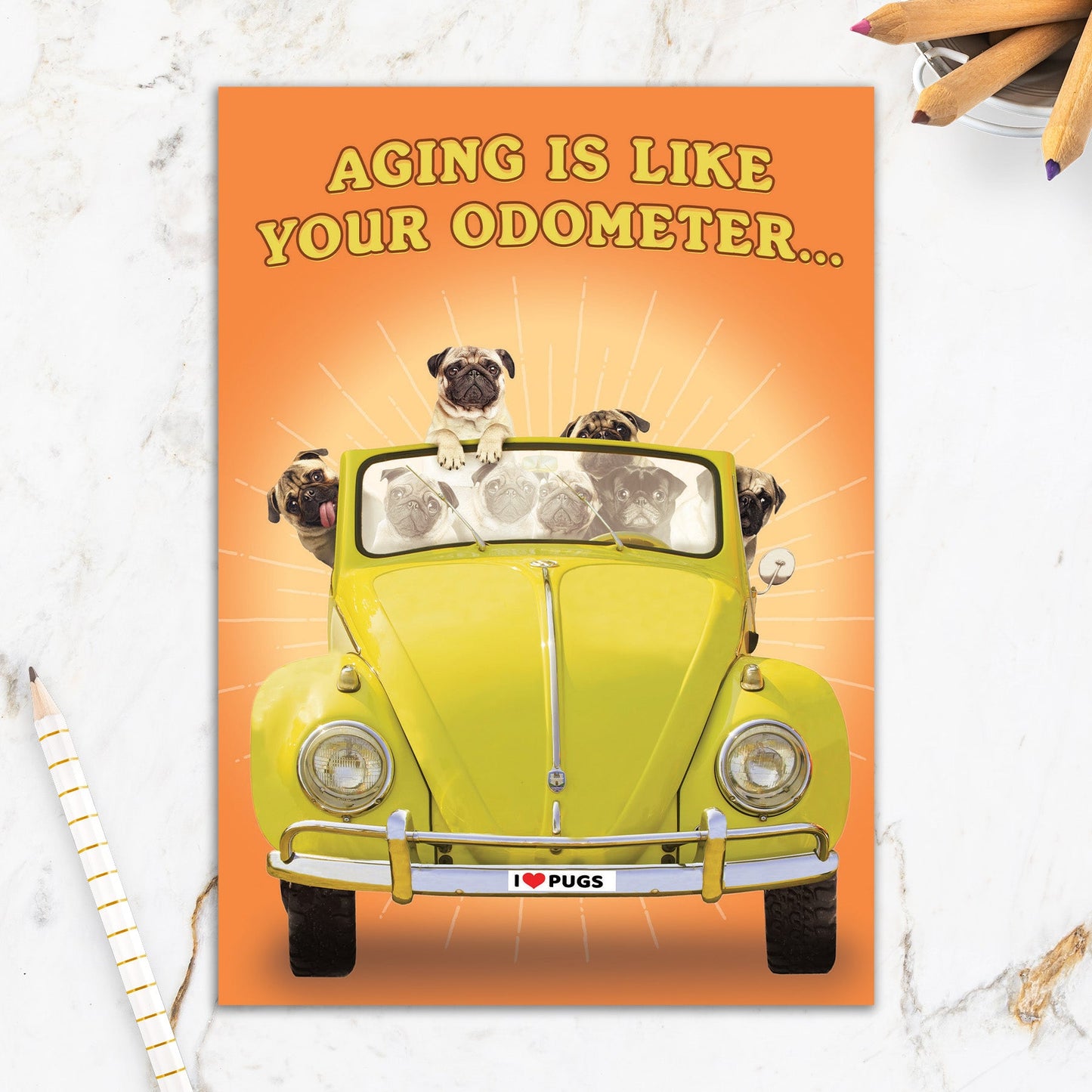 564-IOPE0169C | BD/Pugs in Bug