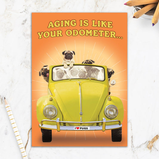 564-IOPE0169C | BD/Pugs in Bug