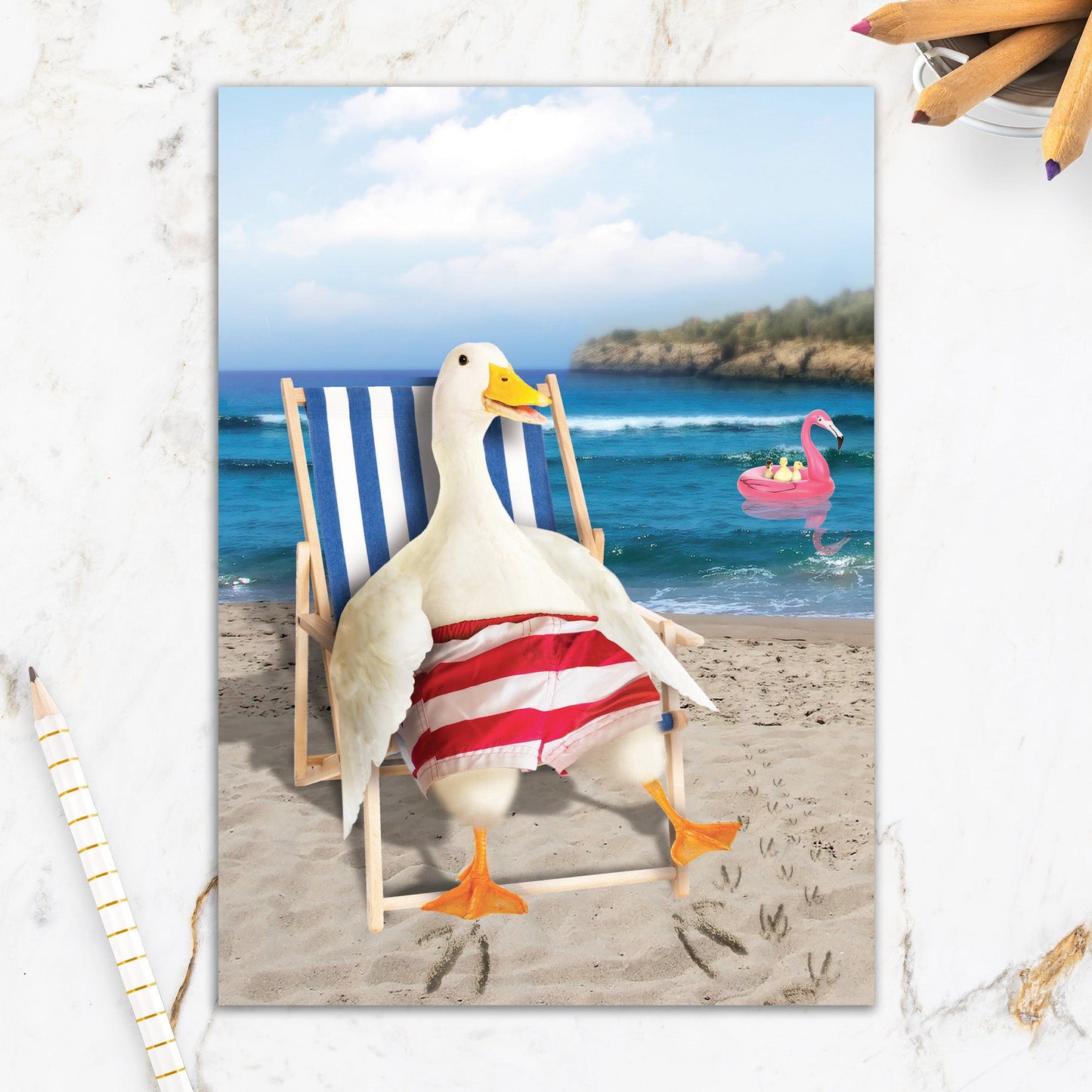 564-IOPE0179C | RT/Duck On Beach