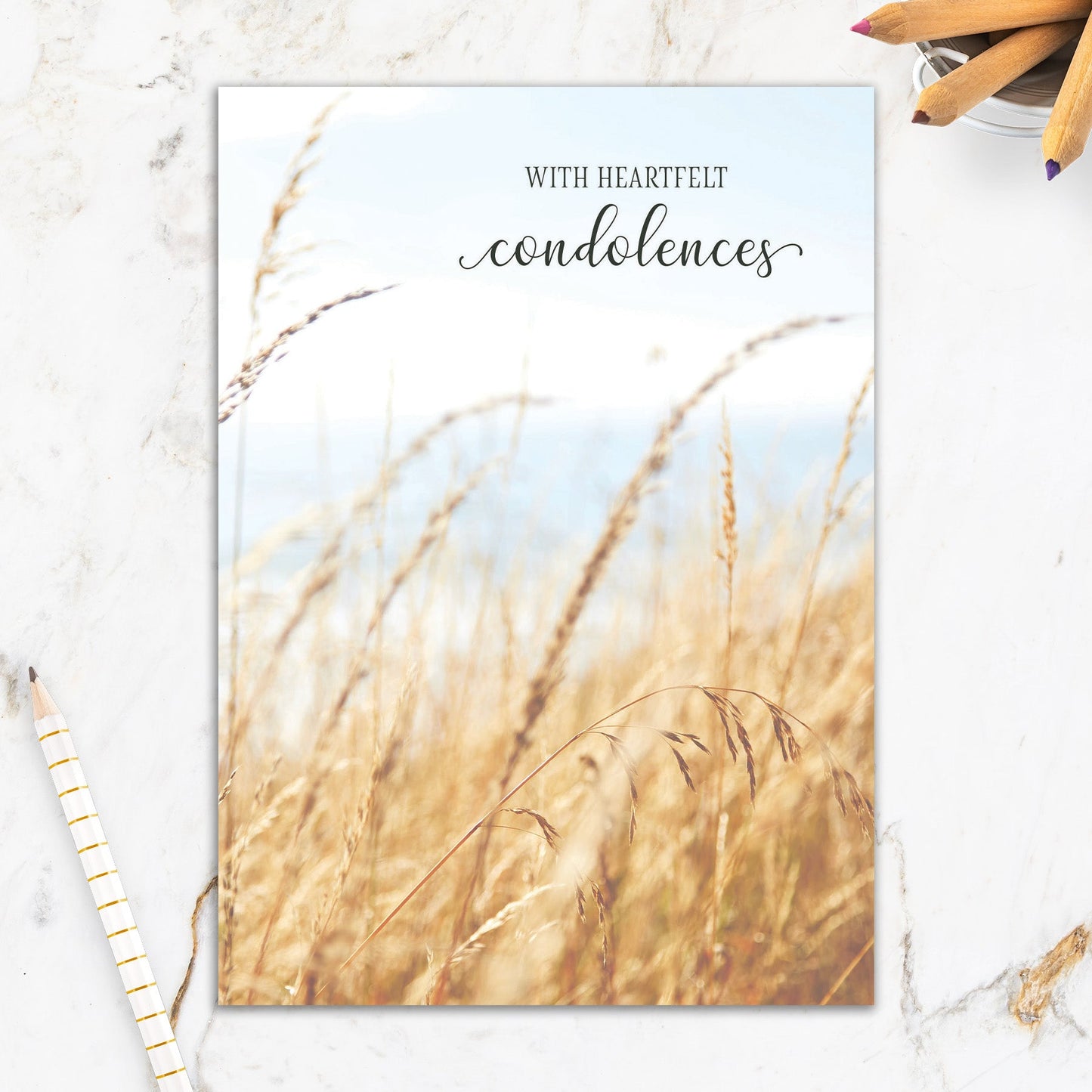 564-IOPE0184S | SY/Soft Beach Grass