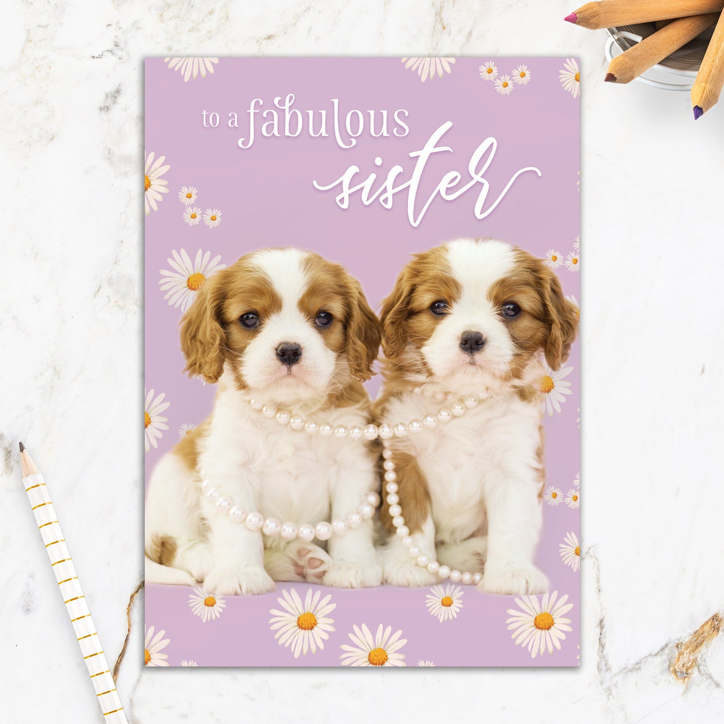 564-IOPE0193C | RBD/Sister Birthday