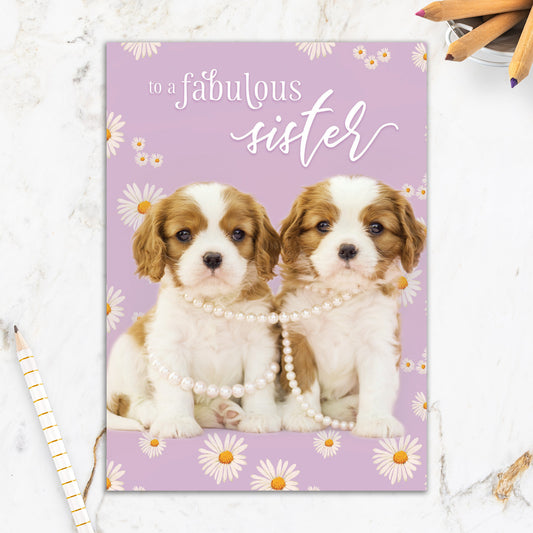 564-IOPE0193C | RBD/Sister Birthday