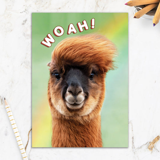 564-IOPE0195C | BD/Breezy Alpaca