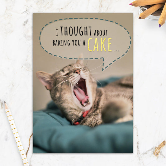 564-IOPE0197C | BD/Yawning Cat