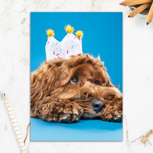 564-IOPE0203C | BD/Dog With Crown