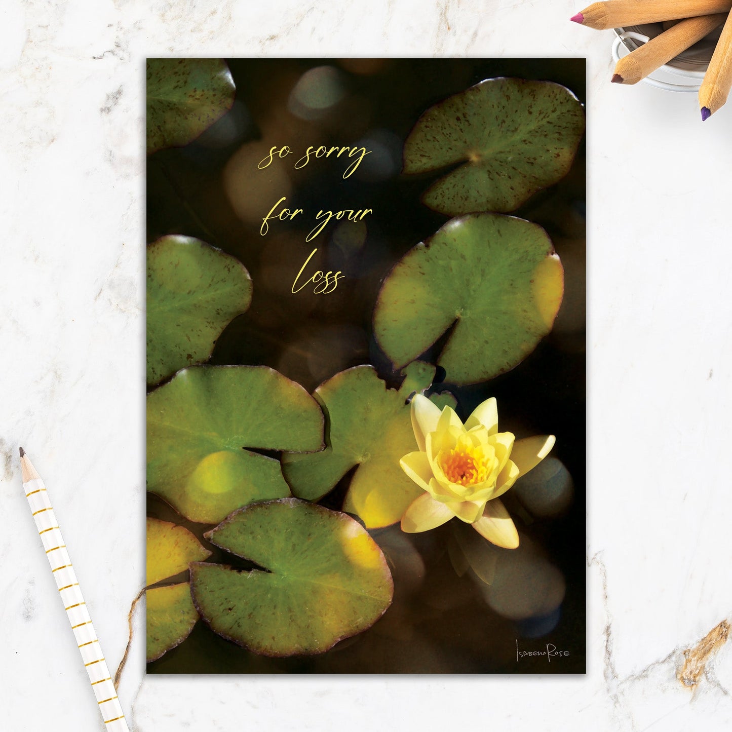 564-IOPE0207L | SY/Sympathy Water Lily