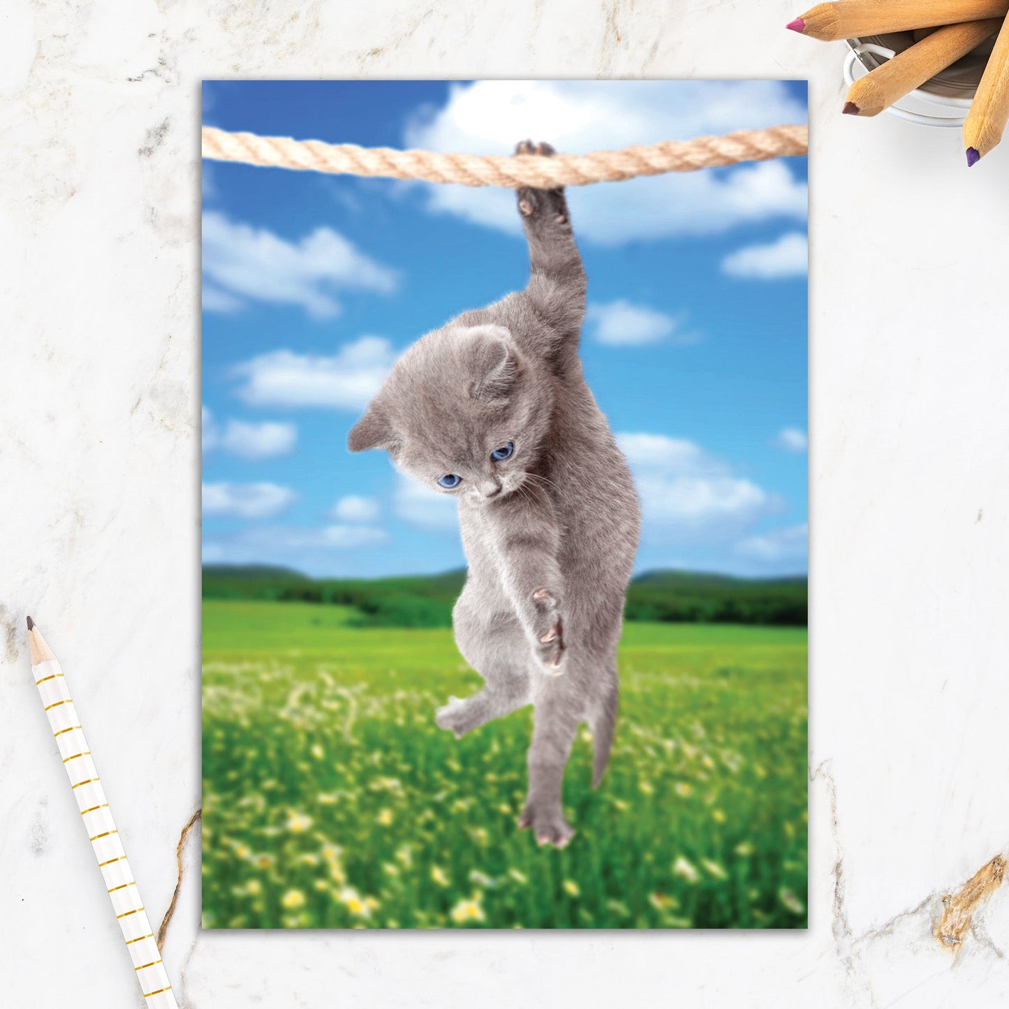 564-IOPE0208C | EN/Hang In There